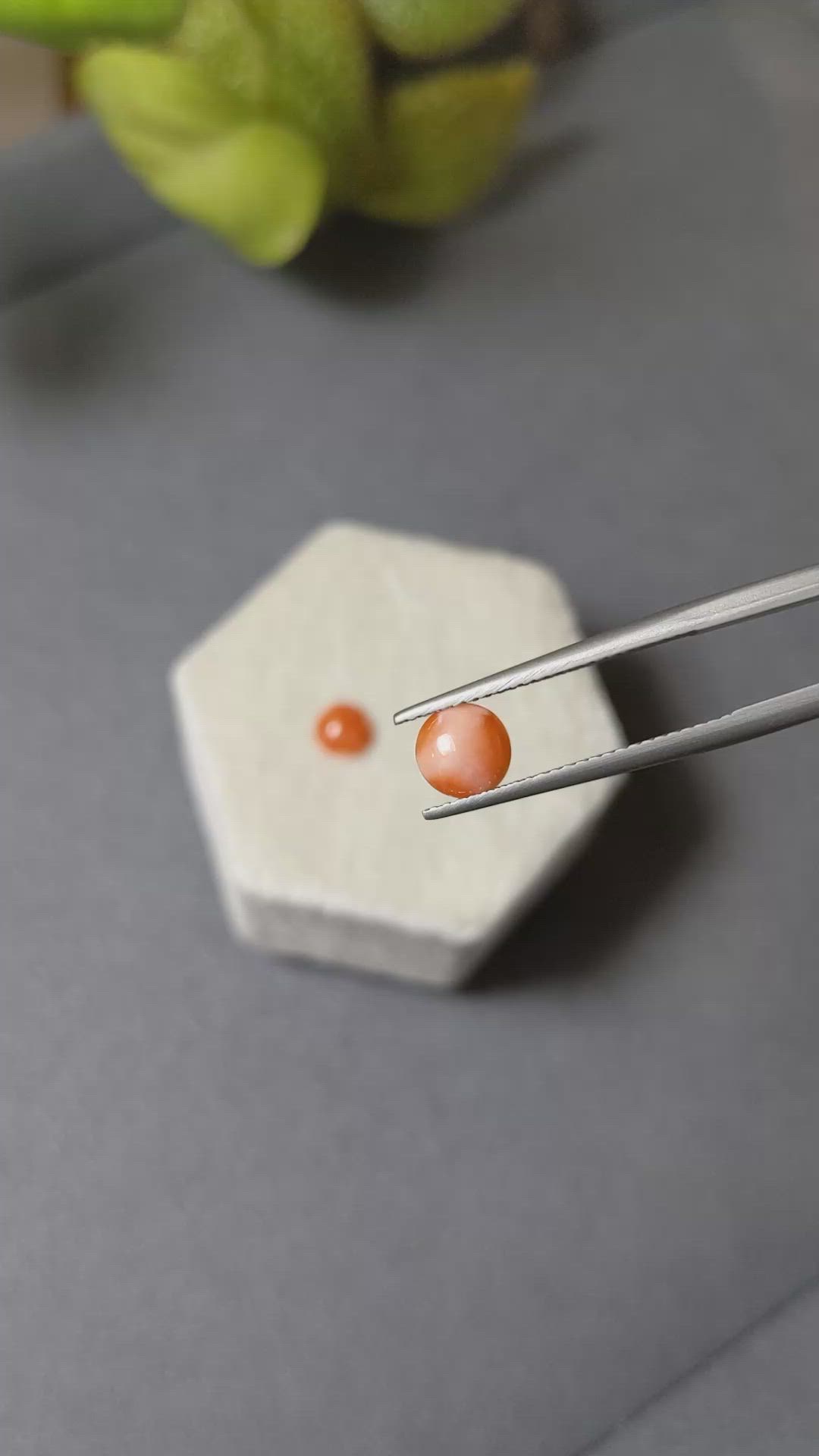 1.07&nbsp;Ct.Tw.Total Carat Weight Cabochon Coral Pair from Italy Size Video