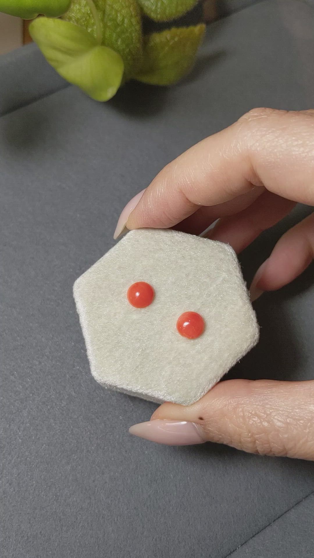 1.62&nbsp;Ct.Tw.Total Carat Weight Cabochon Coral Pair from Italy Size Video