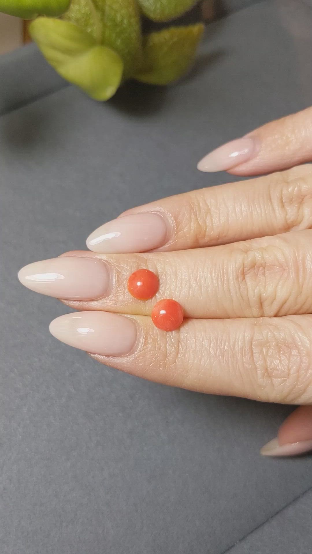 1.62&nbsp;Ct.Tw.Total Carat Weight Cabochon Coral Pair from Italy Size Video