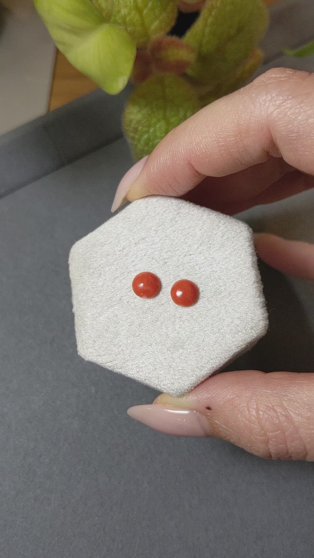 1.16 Ct.Tw.Total Carat Weight Cabochon Coral Pair from Italy Size Video