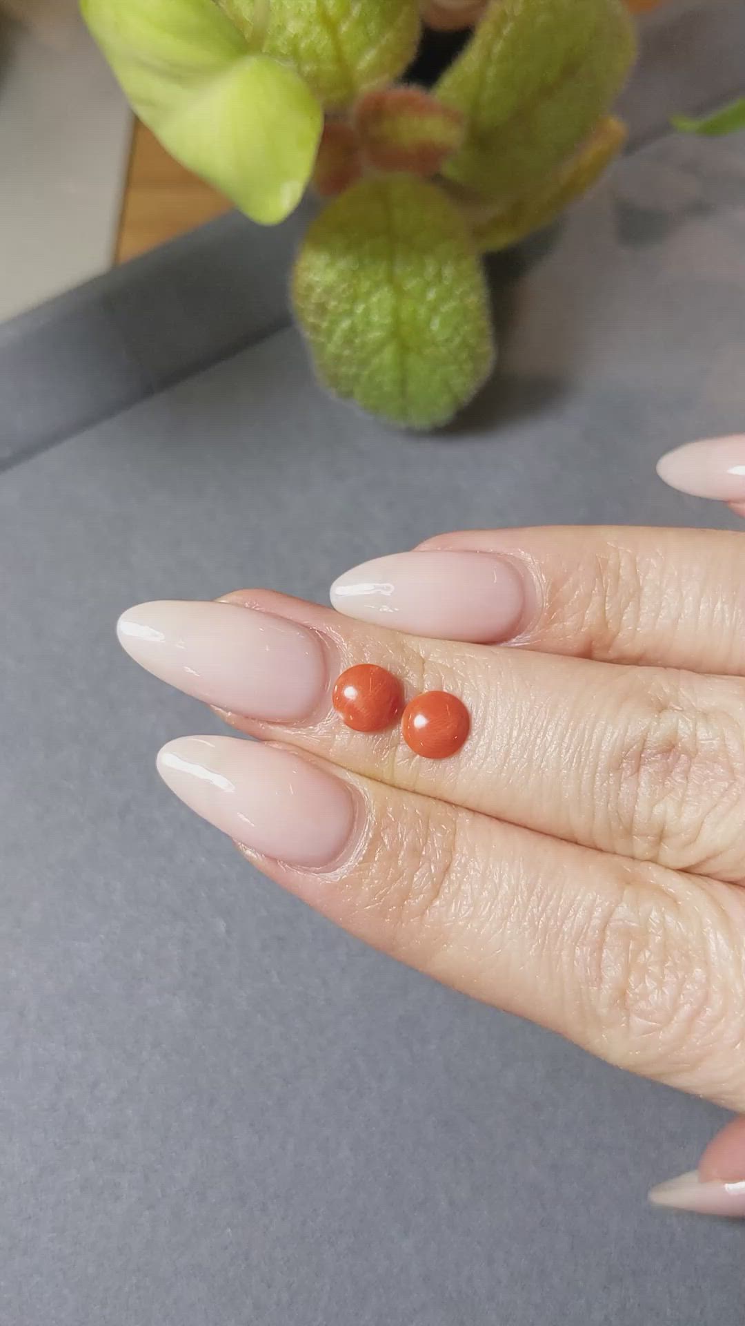 1.16 Ct.Tw.Total Carat Weight Cabochon Coral Pair from Italy Size Video