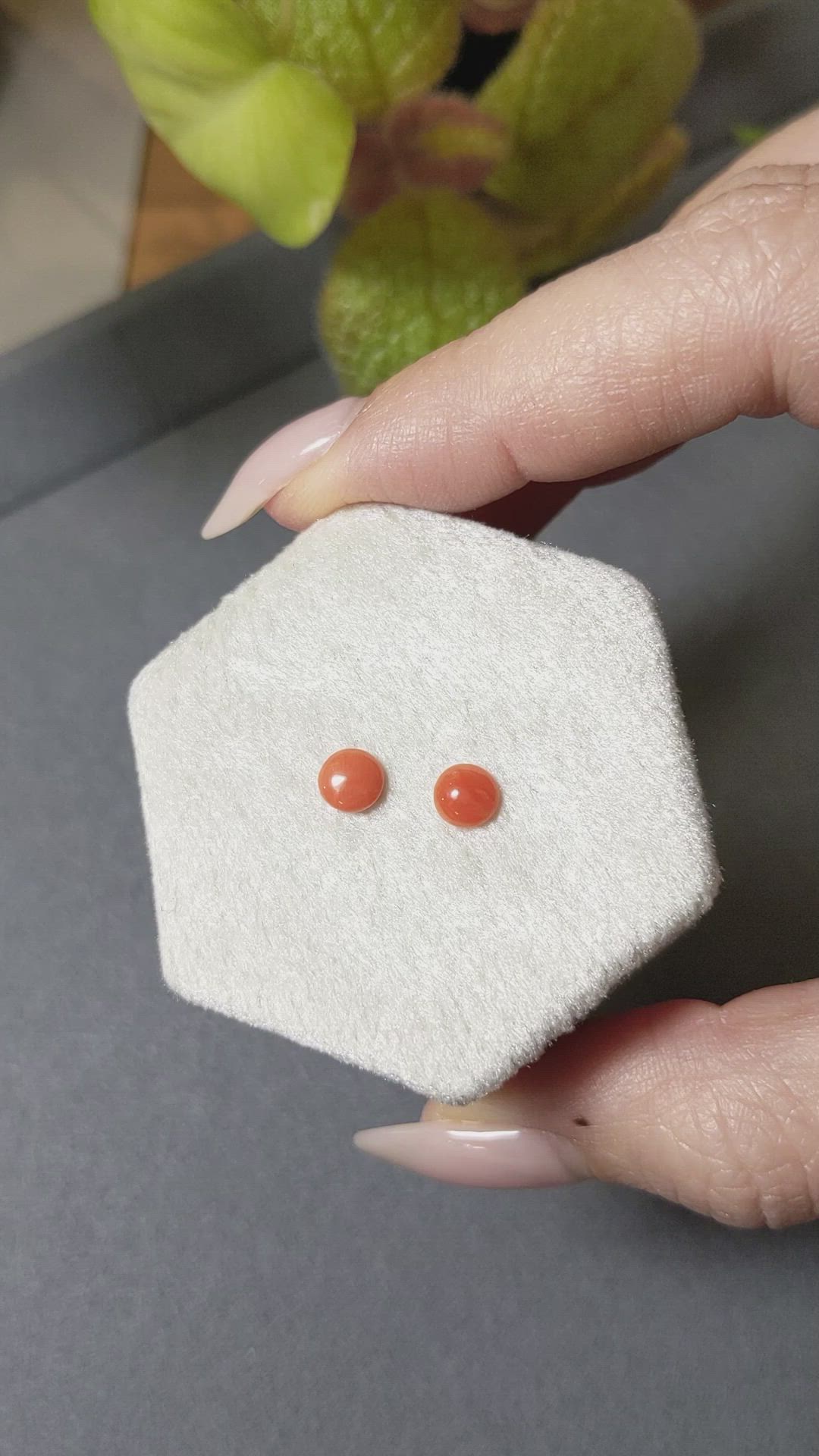 0.57&nbsp;Ct.Tw.Total Carat Weight Cabochon Coral Pair from Italy Size Video