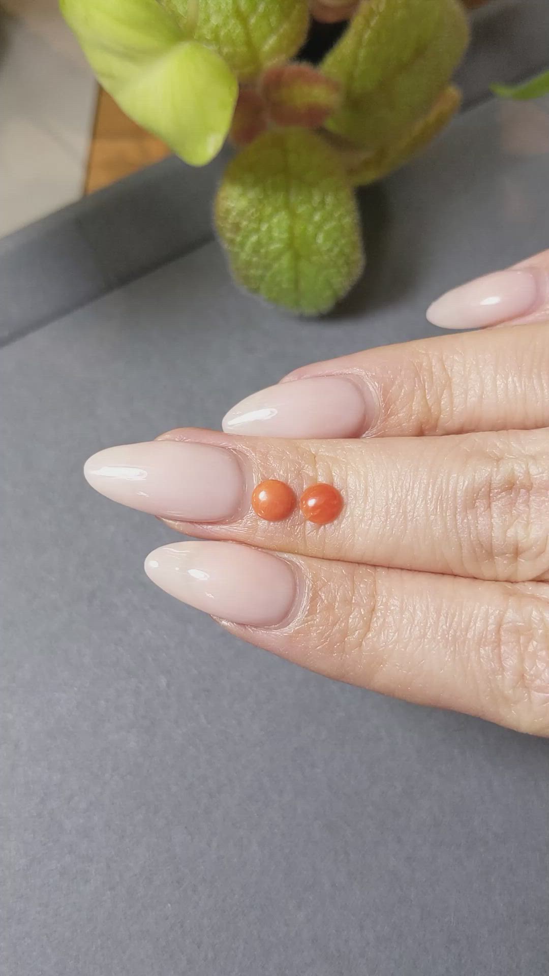 0.57&nbsp;Ct.Tw.Total Carat Weight Cabochon Coral Pair from Italy Size Video