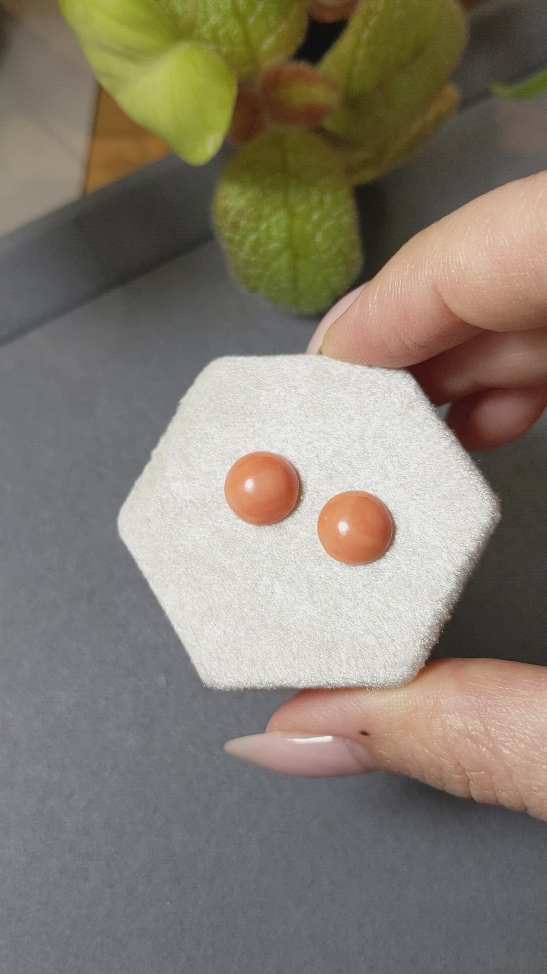 4.54 Ct.Tw.Total Carat Weight Cabochon Coral Pair from Italy Size Video