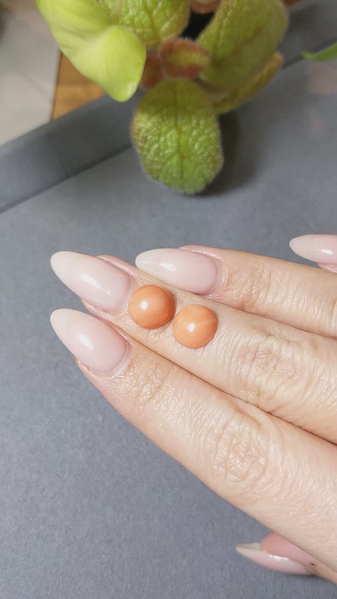 4.54 Ct.Tw.Total Carat Weight Cabochon Coral Pair from Italy Size Video