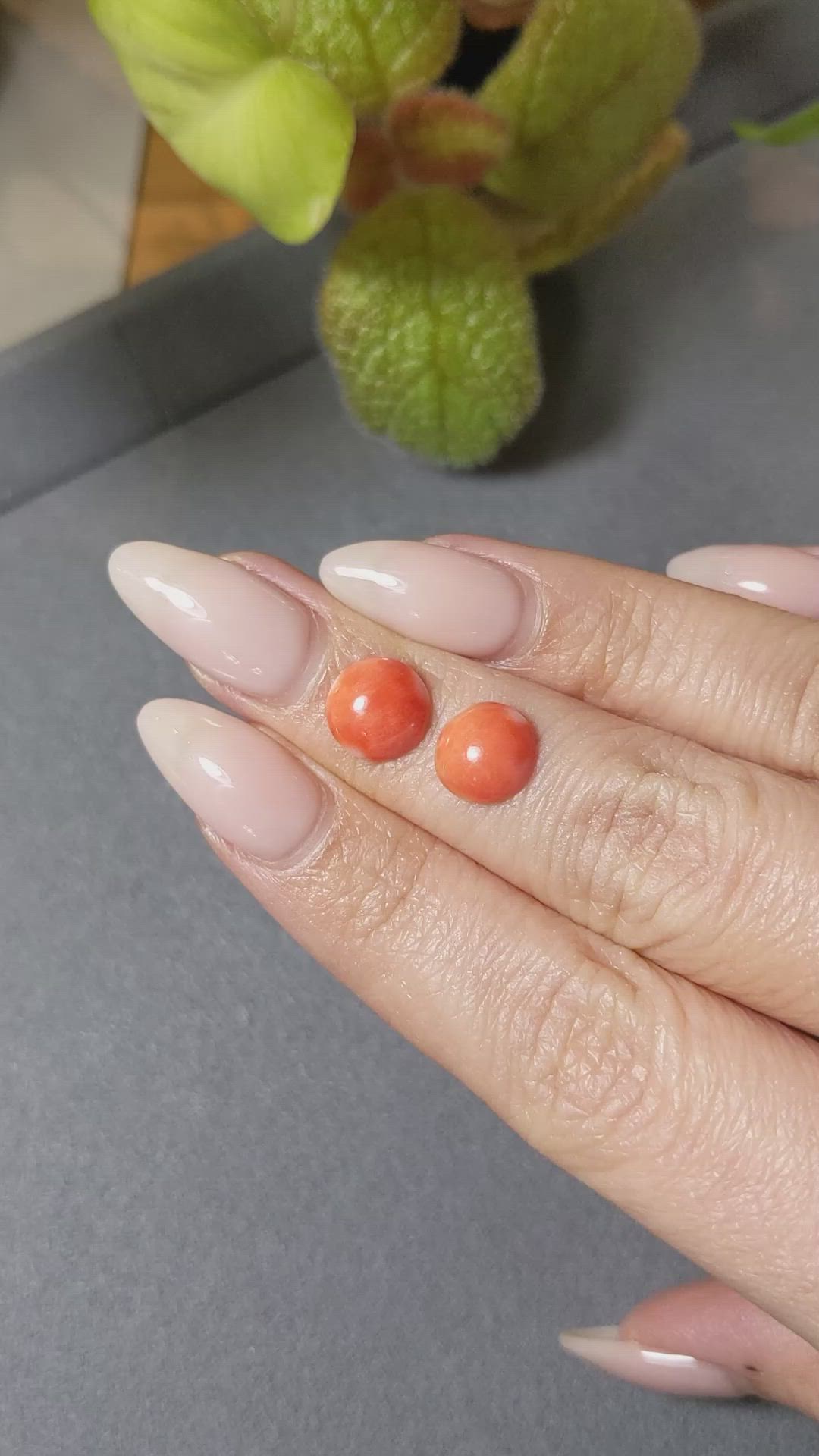 3.30 Ct.Tw.Total Carat Weight Cabochon Coral Pair from Italy Size Video