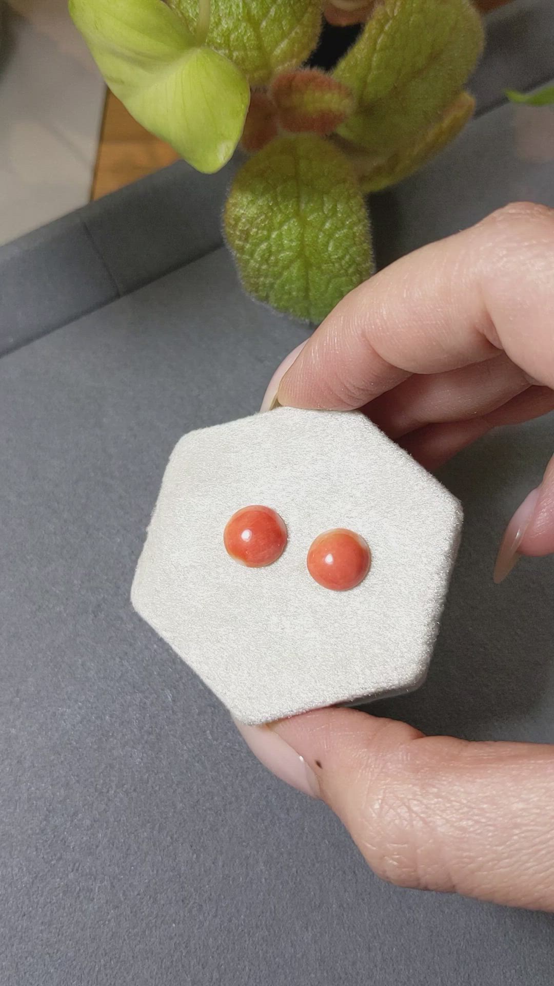 3.30 Ct.Tw.Total Carat Weight Cabochon Coral Pair from Italy Size Video