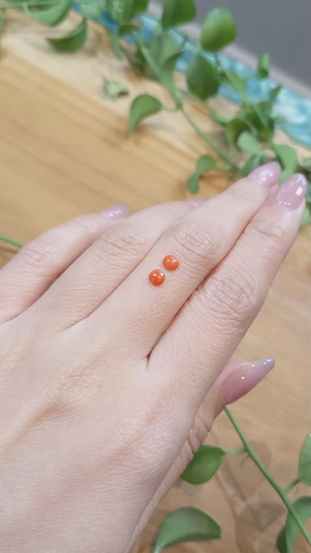 0.34&nbsp;Ct.Tw.Total Carat Weight Cabochon Coral Pair from Italy Size Video