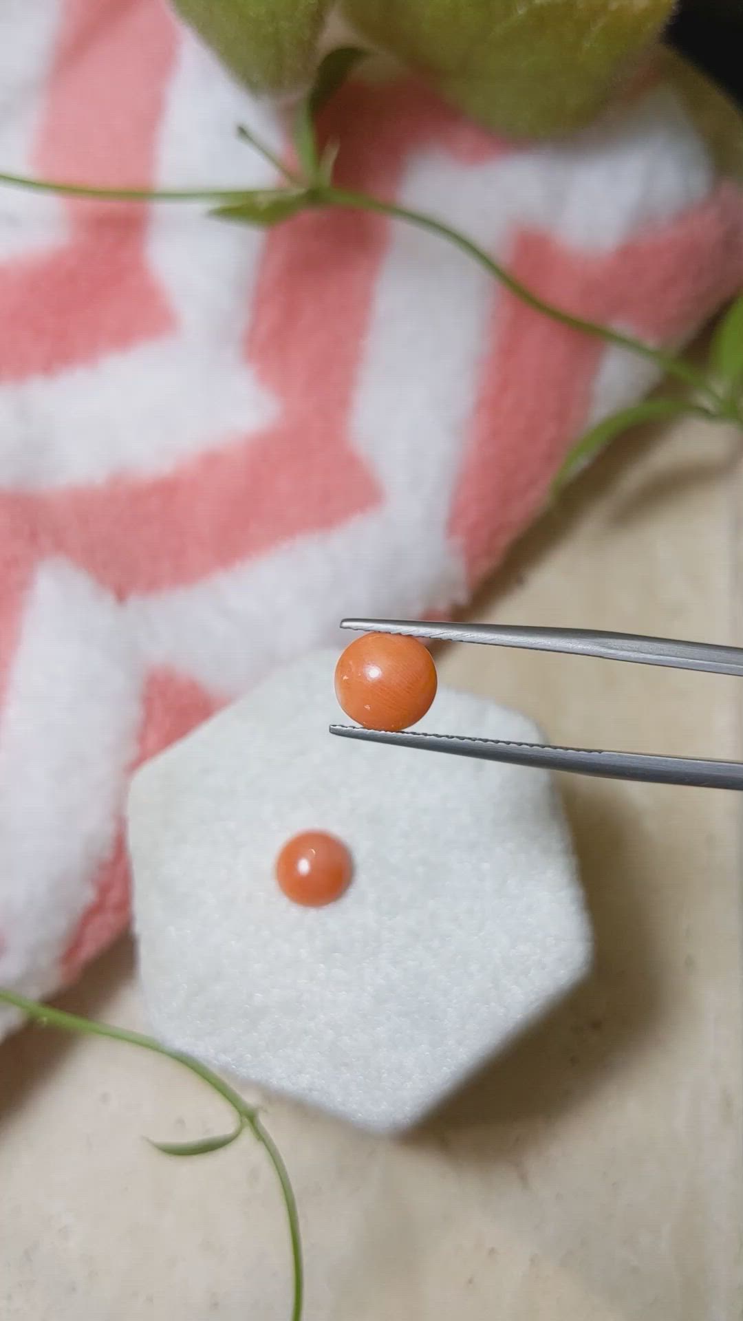 2.30 Ct.Tw.Total Carat Weight Cabochon Coral Pair from Italy Size Video