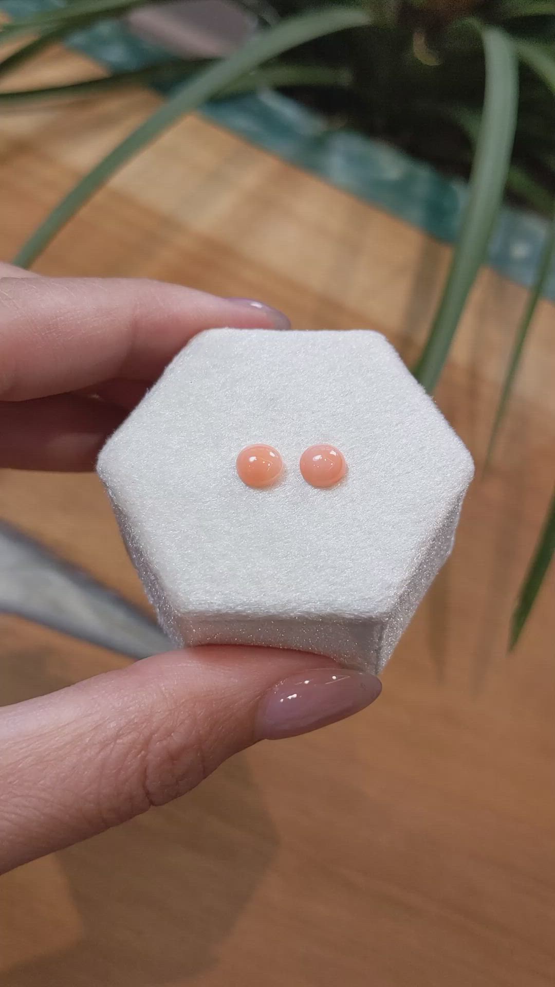 1.59&nbsp;Ct.Tw.Total Carat Weight Cabochon Coral Pair from Italy Size Video