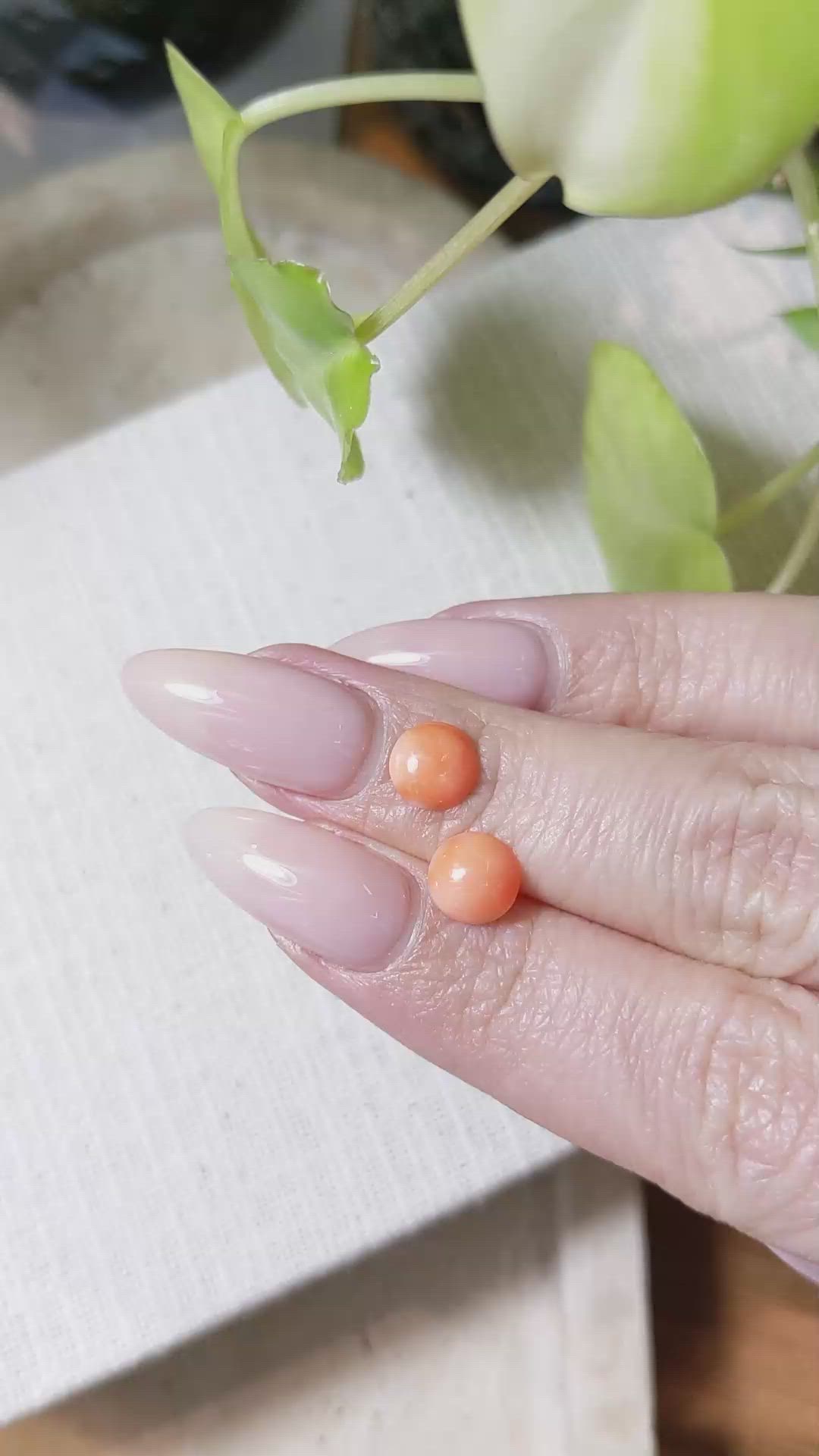 1.73 Ct.Tw.Total Carat Weight Cabochon Coral Pair from Italy Size Video