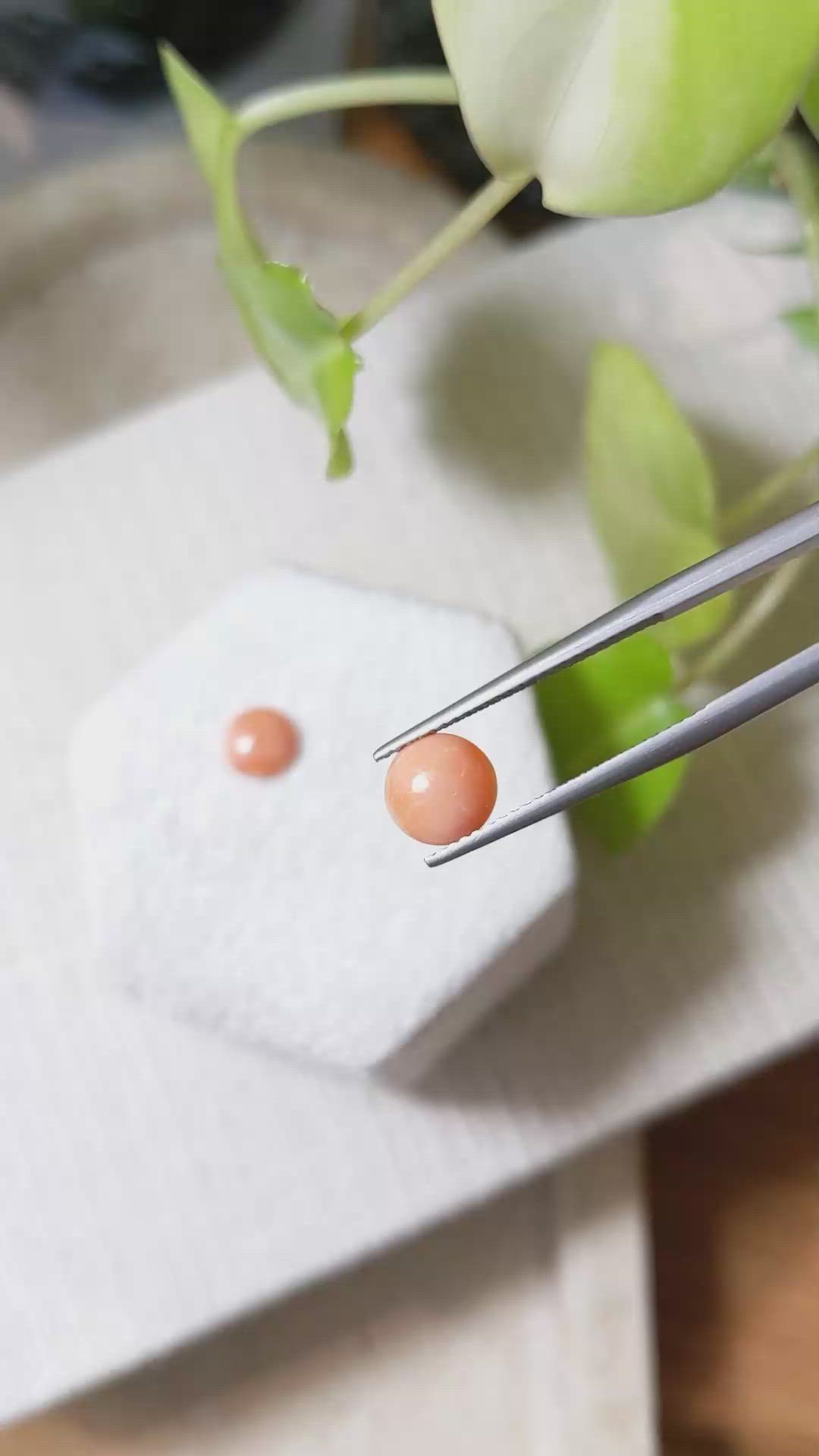 1.73 Ct.Tw.Total Carat Weight Cabochon Coral Pair from Italy Size Video