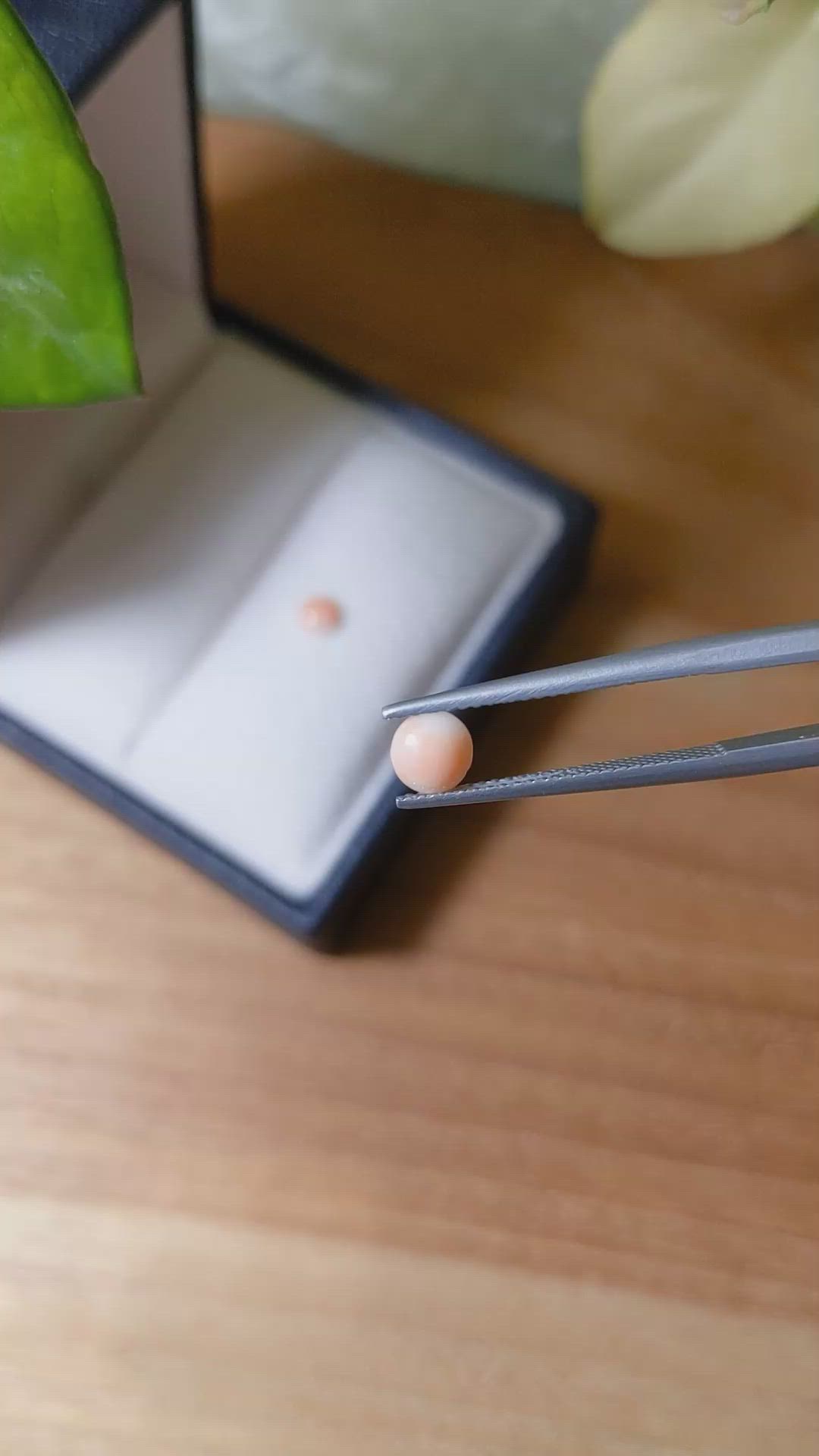 0.77&nbsp;Ct.Tw.Total Carat Weight Cabochon Coral Pair from Italy Size Video