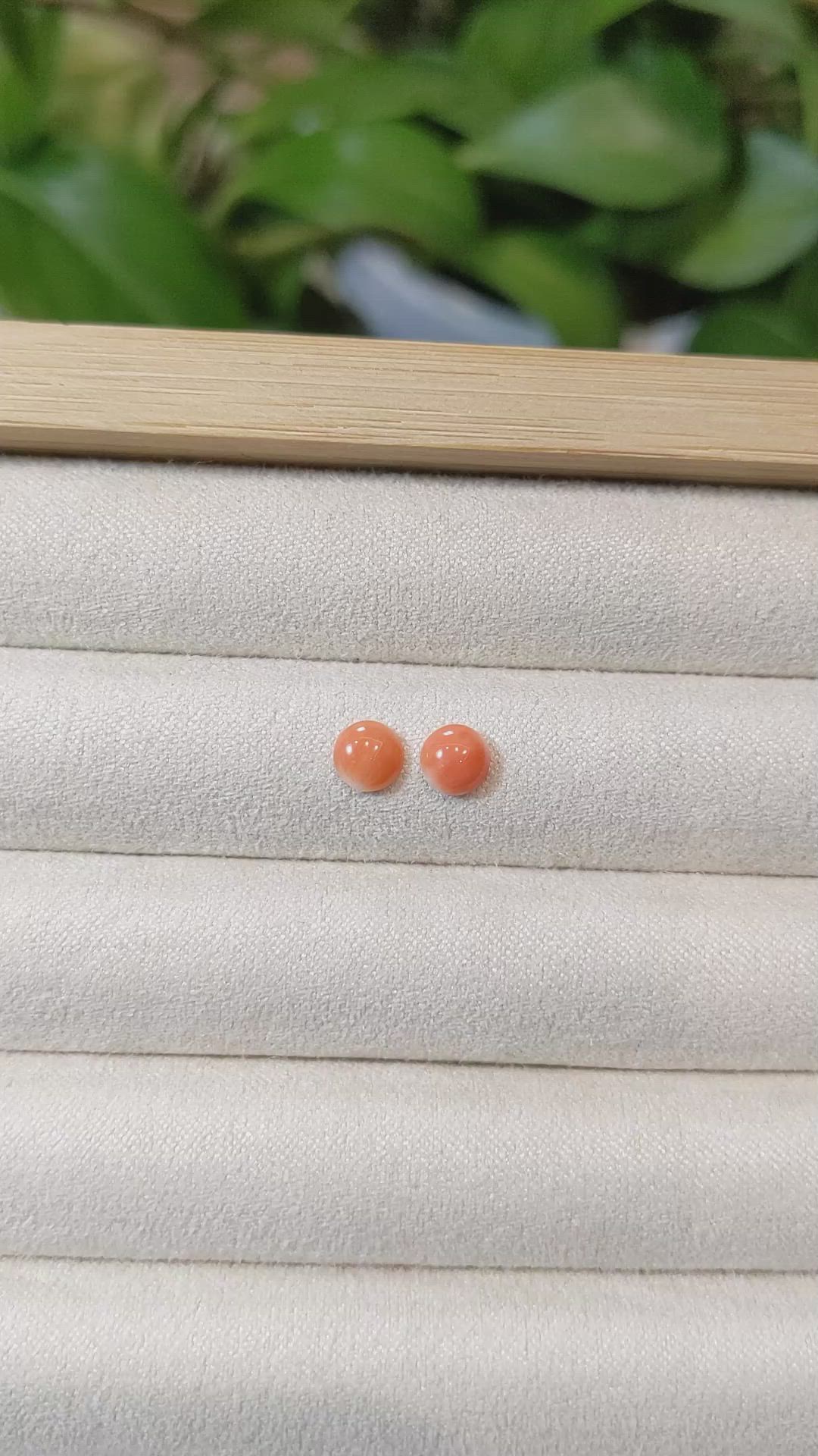 0.83&nbsp;Ct.Tw.Total Carat Weight Cabochon Coral Pair from Italy Size Video