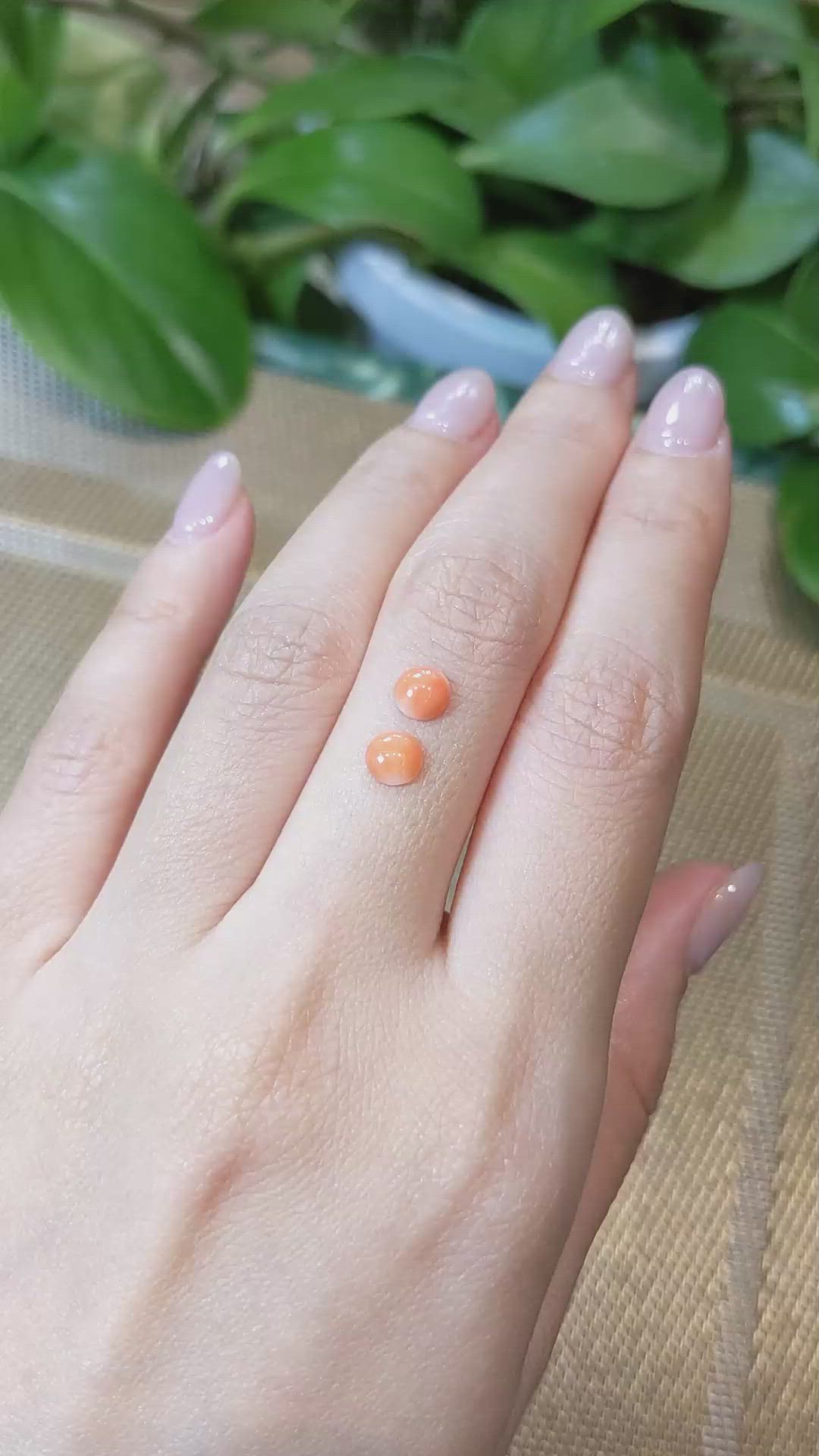 0.83&nbsp;Ct.Tw.Total Carat Weight Cabochon Coral Pair from Italy Size Video