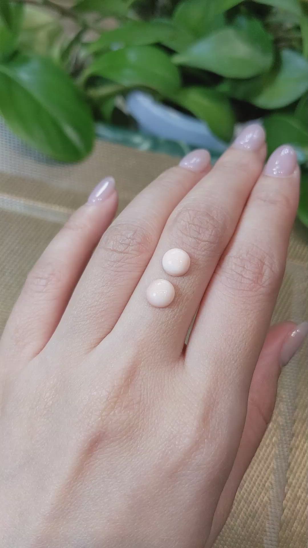 2.78&nbsp;Ct.Tw.Total Carat Weight Cabochon Coral Pair from Italy Size Video