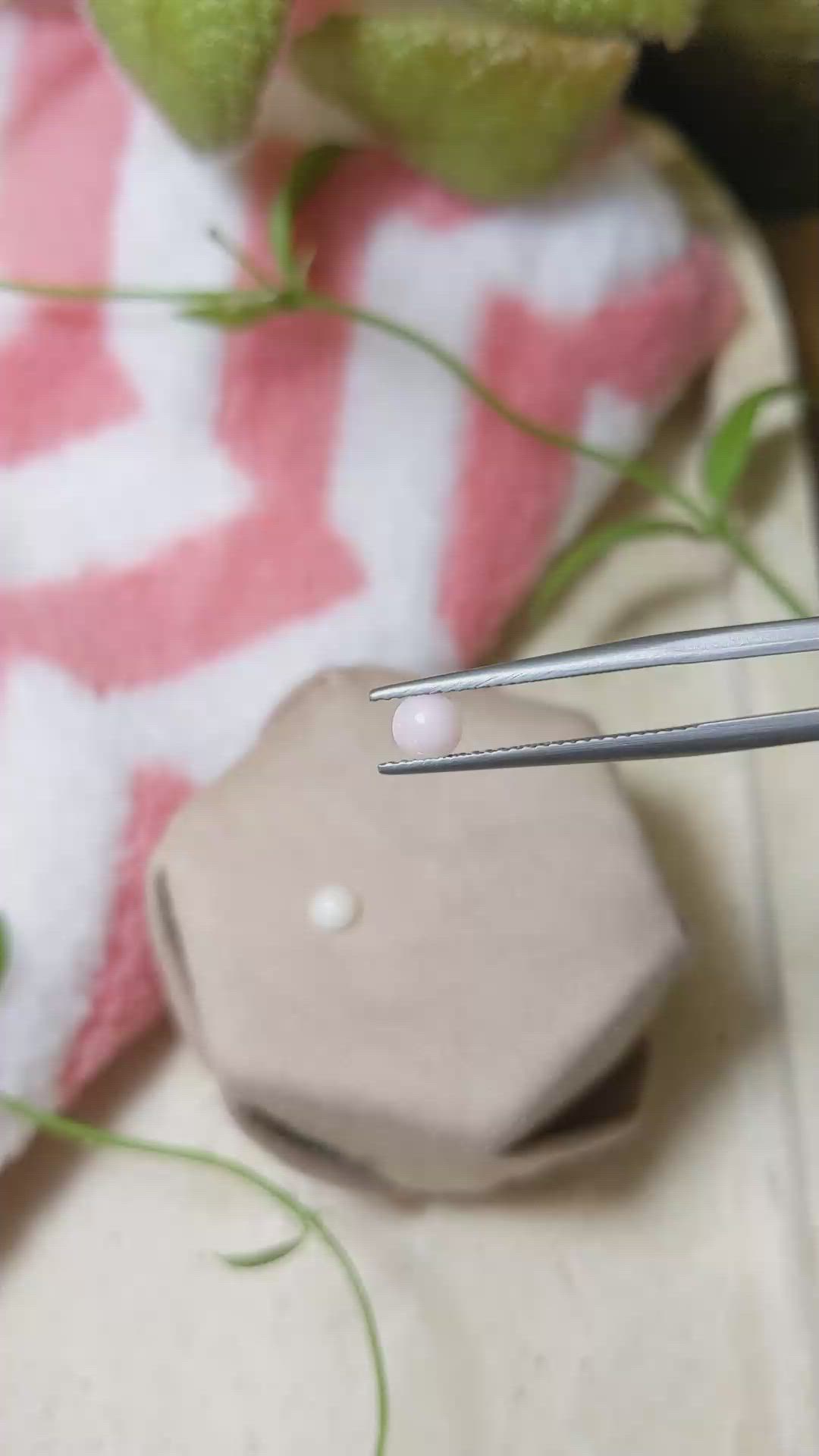 0.51 Ct.Tw.Total Carat Weight Cabochon Coral Pair from Italy Size Video