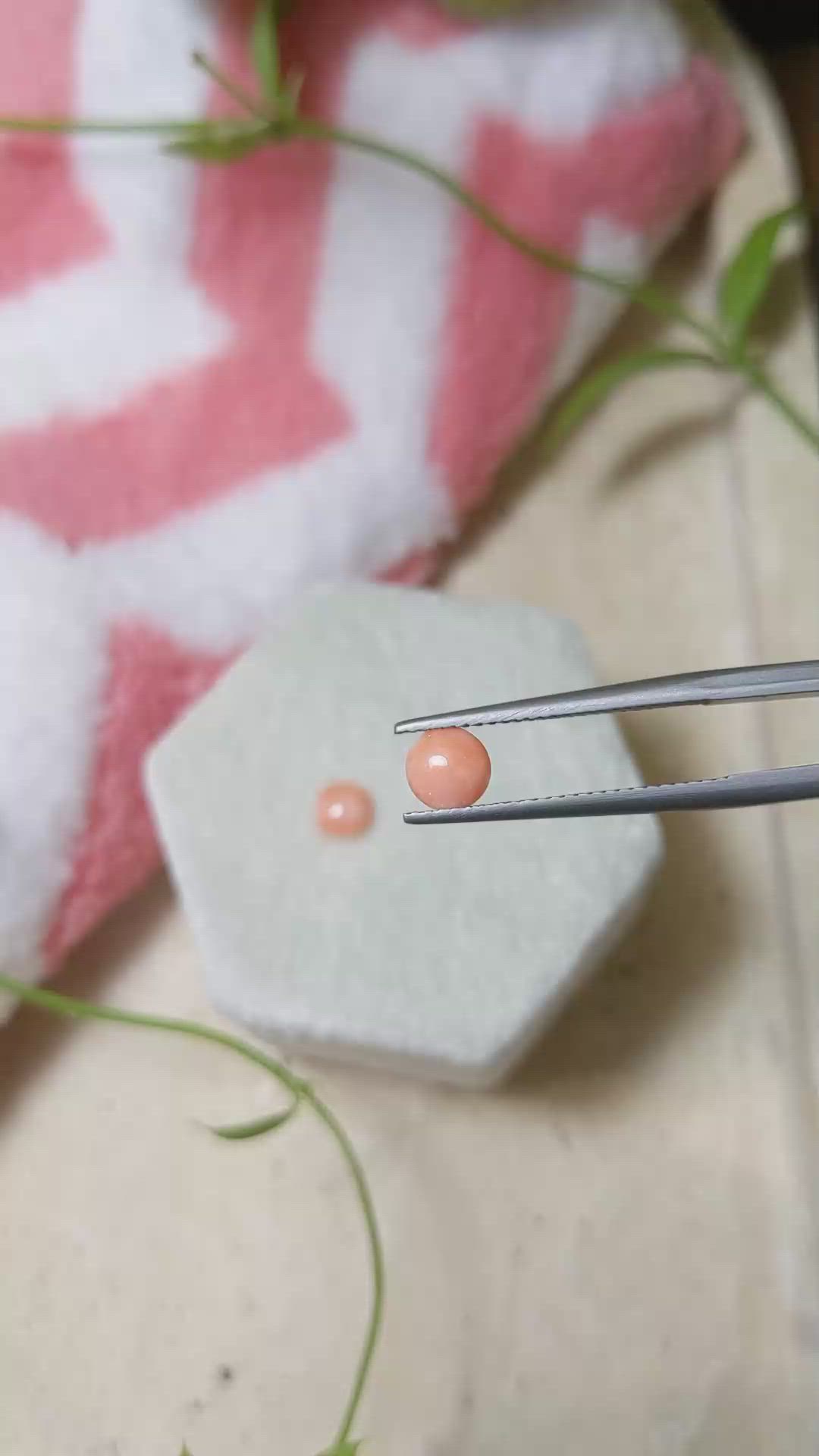 0.75 Ct.Tw.Total Carat Weight Cabochon Coral Pair from Italy Size Video