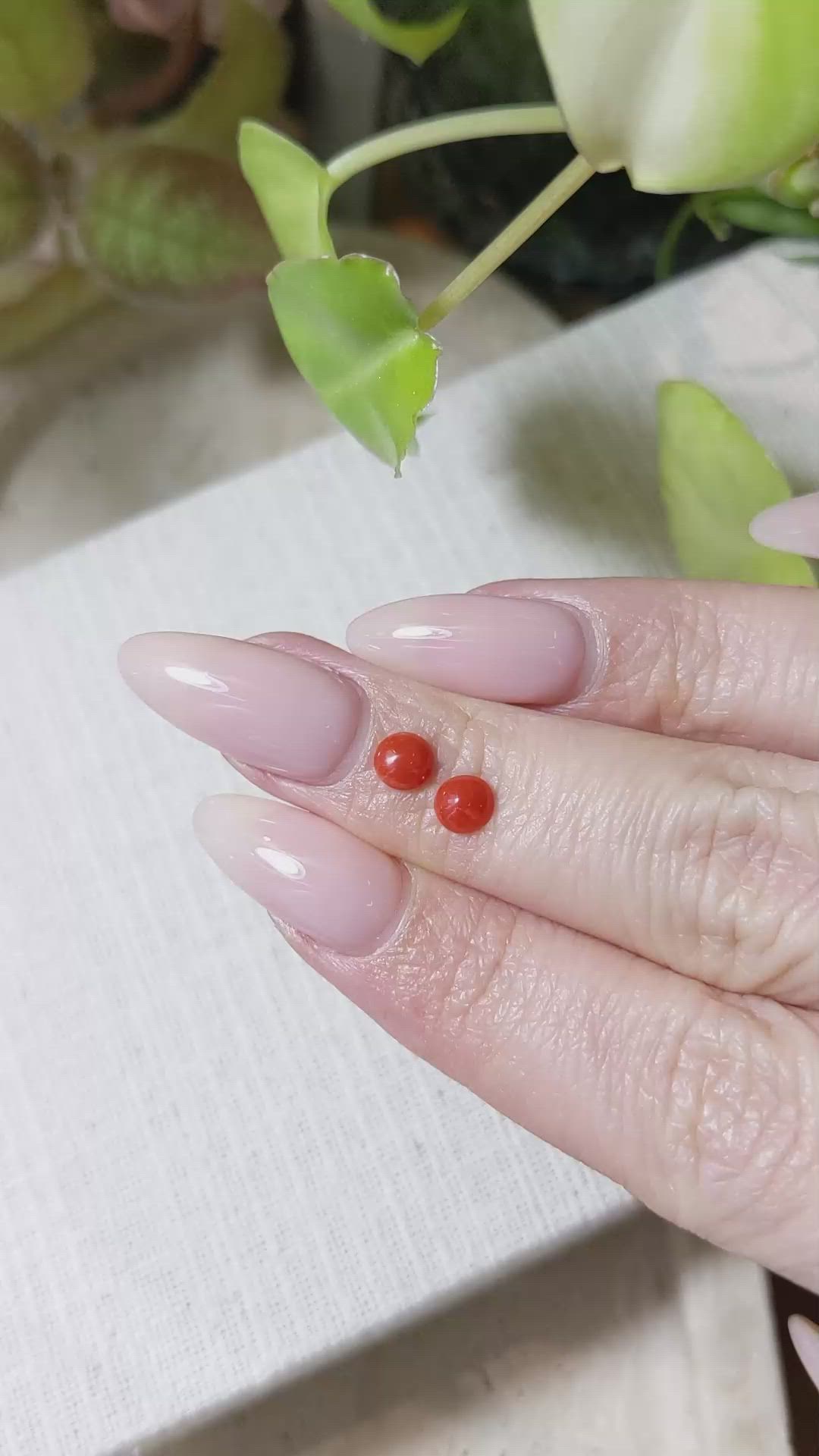 0.56 Ct.Tw.Total Carat Weight Cabochon Coral Pair from Italy Size Video