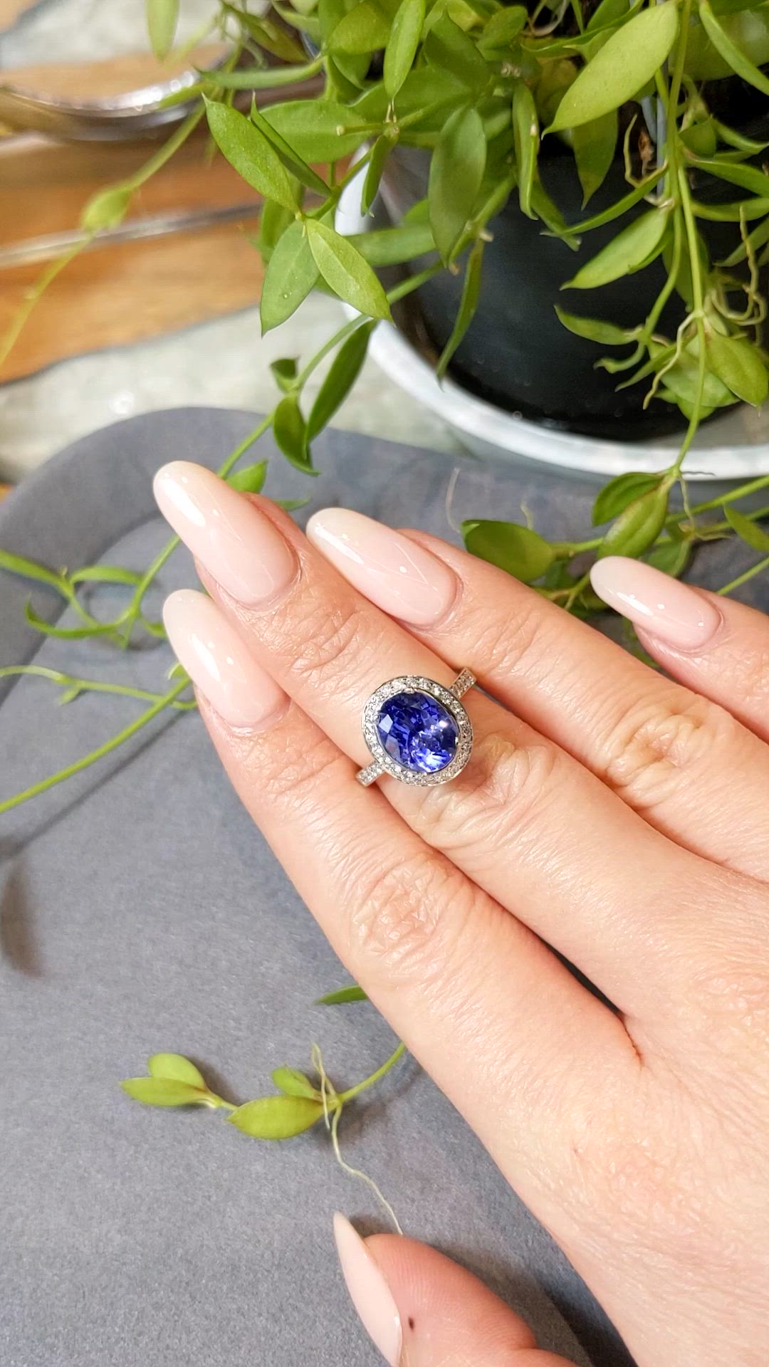 2.96 Ct. Blue Tanzanite and Natural Diamond Pave Ring, 18K White Gold Size Video
