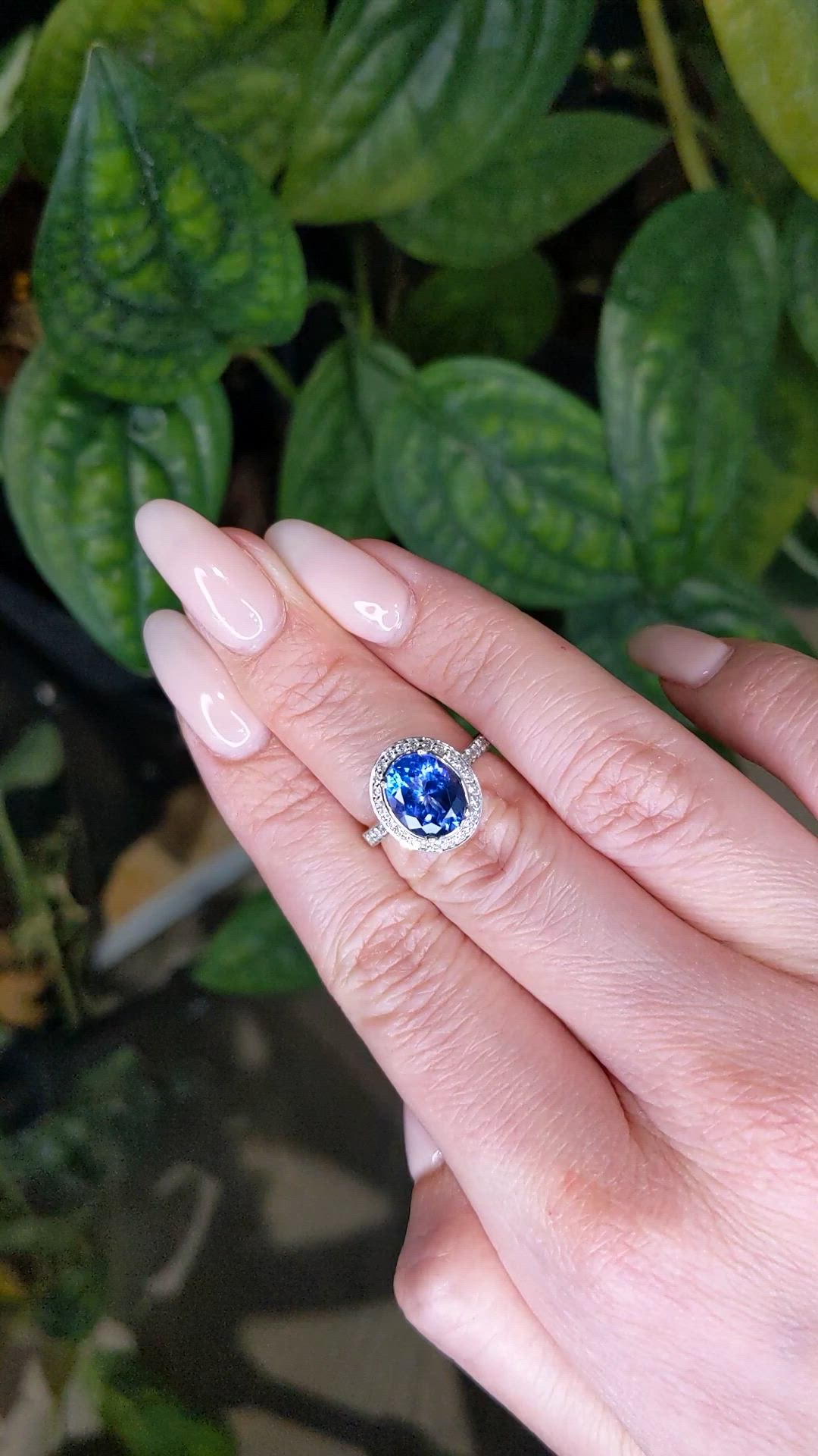 2.96 Ct. Blue Tanzanite and Natural Diamond Pave Ring, 18K White Gold Size Video