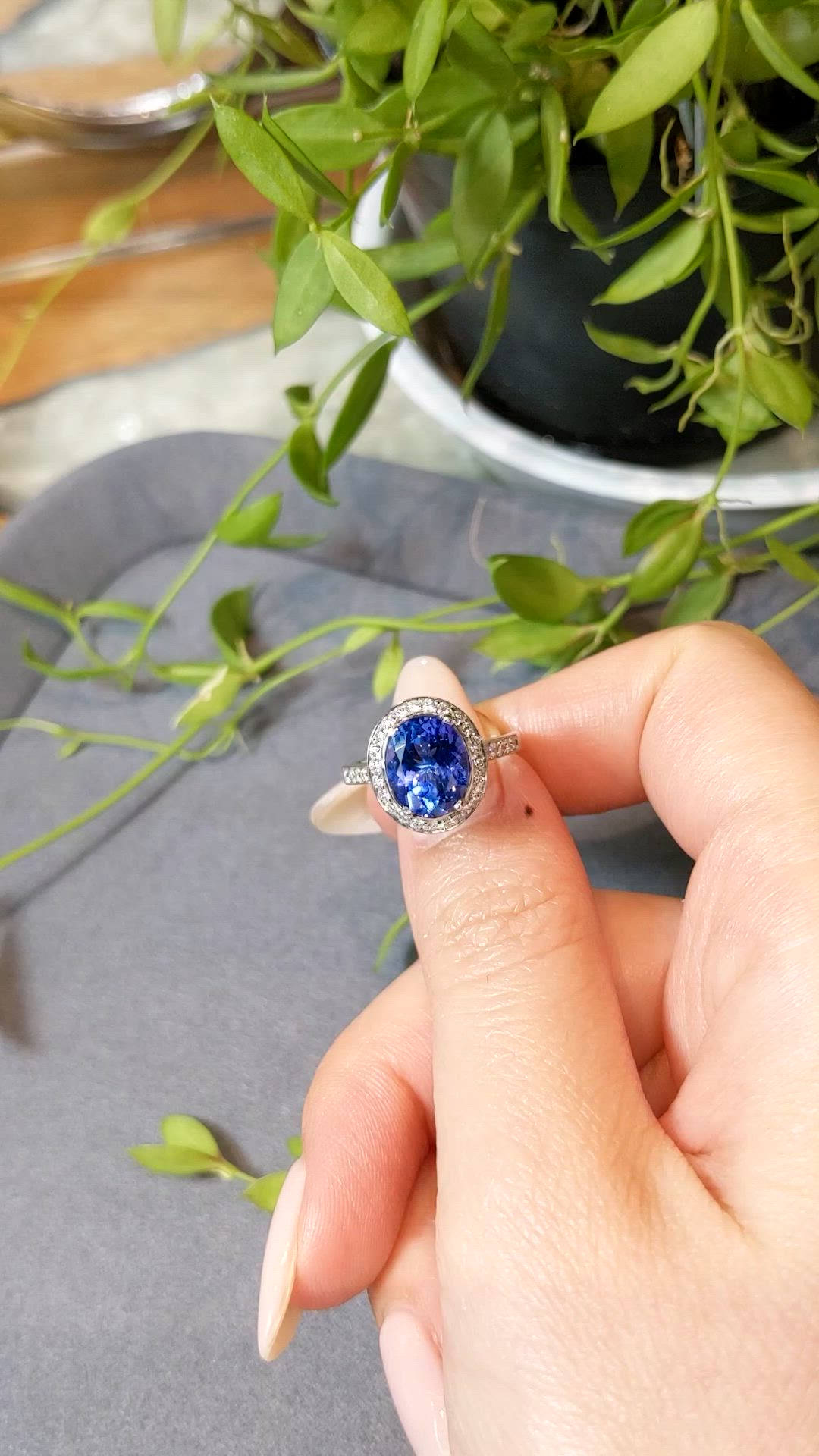 2.96 Ct. Blue Tanzanite and Natural Diamond Pave Ring, 18K White Gold Size Video